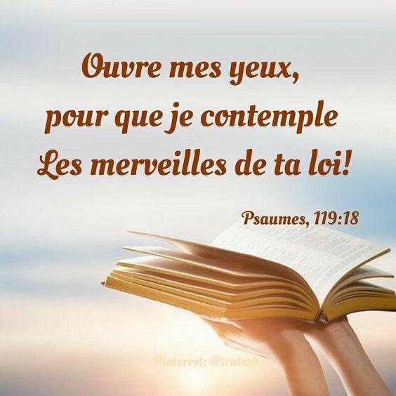 Objectifs et Valeurs de M.C.E.S